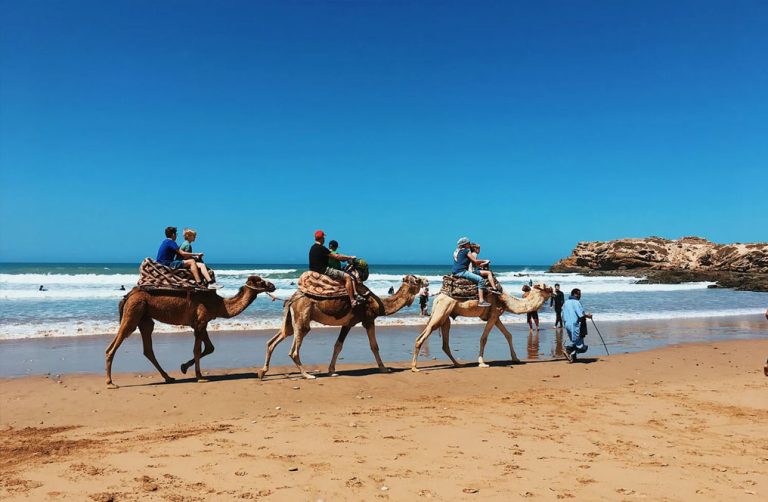 Atlantic Vibes Tour from Marrakech — guided Morocco motorcycle tour