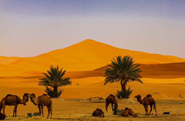 Sahara Tour from Marrakech — guided Morocco motorcycle tour